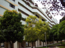 jurong-east-street-21 photo thumbnail #2